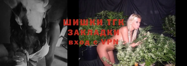 стаф Козловка