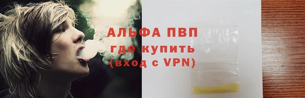 стаф Козловка