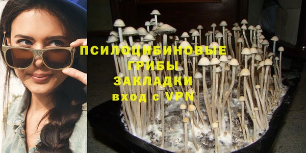 бошки Козельск