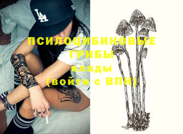 бошки Козельск
