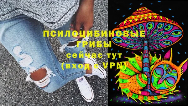 стаф Козловка