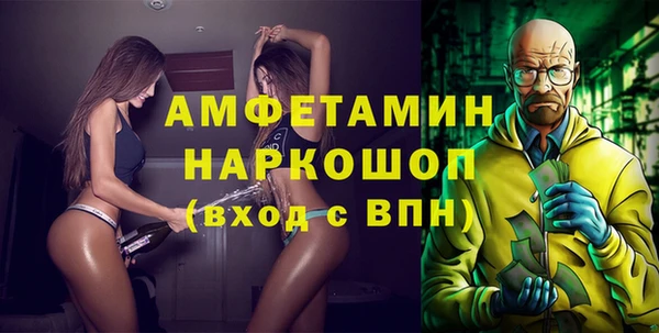 стаф Козловка