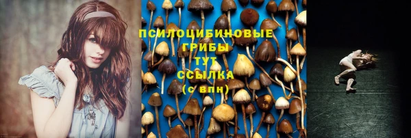 a pvp Кодинск